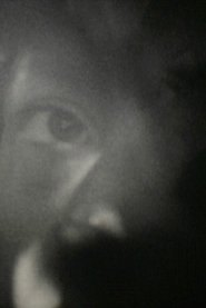 Within Mirrors (2008)