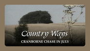 Cranborne Chase in July