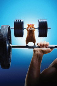Human vs Hamster постер