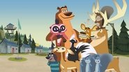 Les rebelles de la forêt, la série en streaming