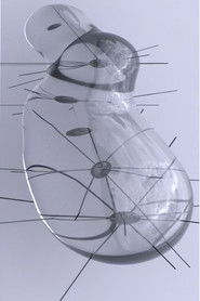 Temporary structures, no.2