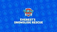 Everest's Snowslide Rescue