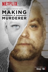 Making a Murderer: Temporada 1