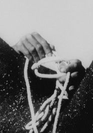 Poster for Through the Eyes of a Painter Poster for Through the Eyes of a Painter