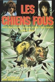Film Les chiens fous streaming