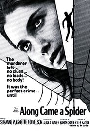 Voir film Along Came a Spider en streaming