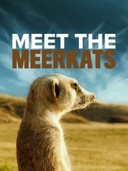 Meet The Meerkats (2021)