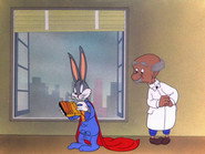 Super-Rabbit