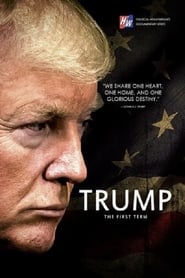 Poster Trump: The First Term