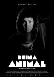 Poster Reina animal