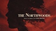 Poster The Northwoods 1970