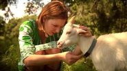 Artois the Goat en streaming