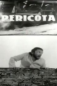 Poster Pericota 1969