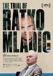 The Trial of Ratko Mladic (2018)
