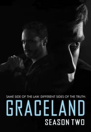 Graceland: Season 2