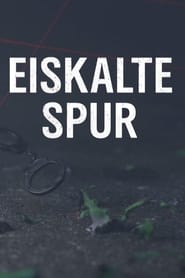 Eiskalte Spur poster