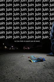 Juin ou  (Les chats ne payent pas de taxes) (2025)