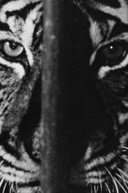 Marguerite Duras in the Lions’ Den (1966)