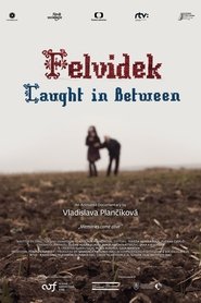 Poster Felvidek – Caught in Between 2014 Poster Felvidek – Caught in Between 2014