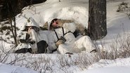 Wolf Watch