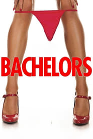 Poster Bachelors 2015