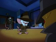 Pinky and the Brain - Episode 3x05