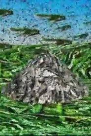 To Be Said, To Be Lived