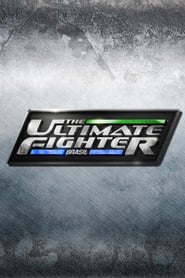 The Ultimate Fighter: Brasil poster