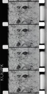 Poster La Source de la Loire 1970