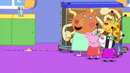Dr Hamster’s Ant Farm