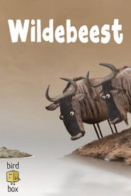 Wildebeest