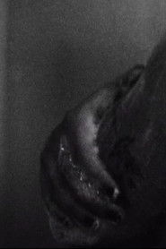 night sky, shooting star