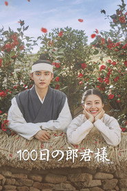 100 Days My Prince poster