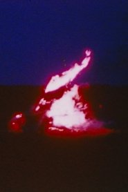 Poster VRFLM 1994