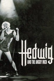 Full Cast of Hedwig and the Angry Inch