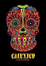 Poster Calexico Next Exit 2007