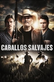 Caballos salvajes poster