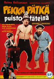 Poster Pekka ja Pätkä puistotäteinä
