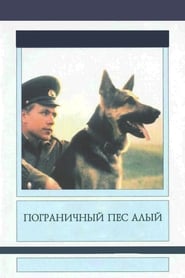 Poster Border Dog Scarlet