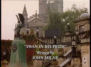 Swan in His Pride