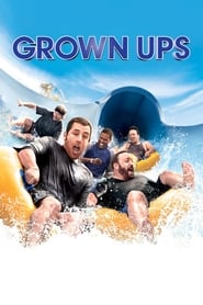 Grown Ups 2010 Movie BluRay Dual Audio Hindi English 480p 720p 1080p