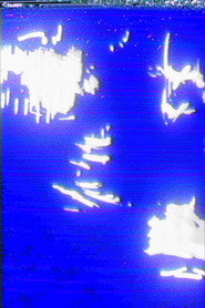 untitled_short_film.mov