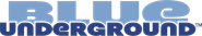 Logo for Blue Underground