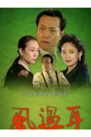 风过耳 (1994)