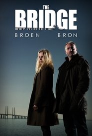 The Bridge S04 2018 Web Series AMZN WebRip Dual Audio Hindi English All Episodes 480p 720p 1080p