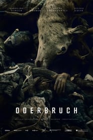 Oderbruch poster