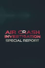 Air Crash Investigation: Special Report