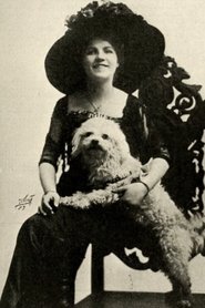 Poster The Rose's Story 1911