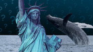Can Whales and Ships Coexist in New York Bay?