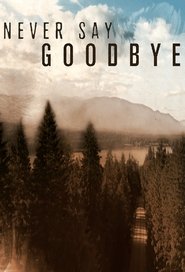 Never Say Goodbye poster